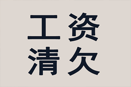 帮助科技公司全额讨回100万软件款